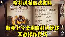哈利波特魔法觉醒新手上分卡组哈利火灰蛇！实战操作技巧