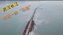 在武汉长江中出现一条“马路”，只有在枯水季节显现，太神奇了！