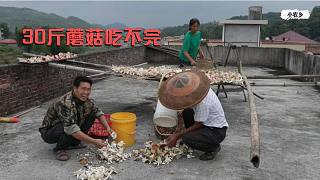 30斤野生蘑菇吃不完，小农乡用来晒干，炒上血酱鸭，很多人不敢