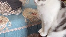 她！真！的！聽！懂！了?。?！
