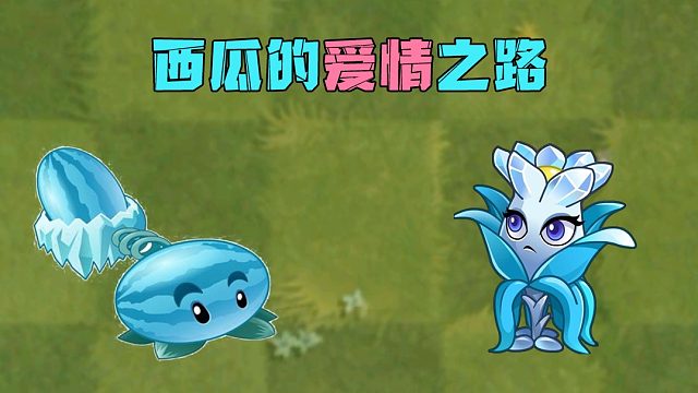 植物大战僵尸：瑾莯的睡前故事—西瓜的爱情之路！