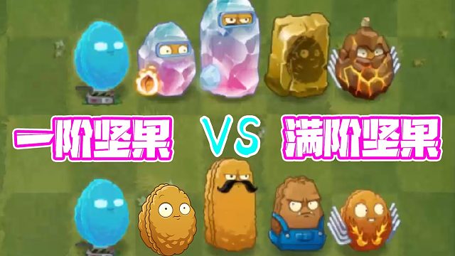 植物大战僵尸：满阶后的坚果都变攻击植物了！全息坚果：那我走