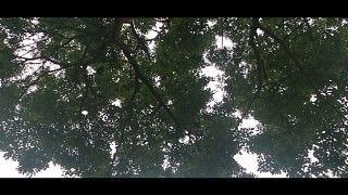 清晨