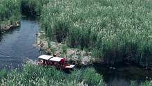 这里是那拉提湿地公园来这里一定要坐个小船穿梭一下芦苇荡。 #那拉提湿地公园  #本地美好推荐官 