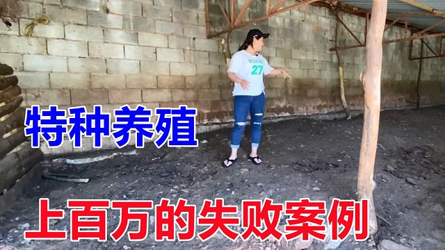 上百万的失败案例，还是特种养殖，1200亩场地荒了，拿来用不错