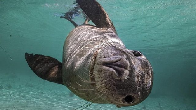 【主播的自我修养】“无人之境”晨练版