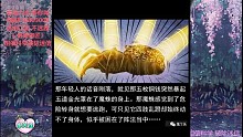 修成魔的蛛