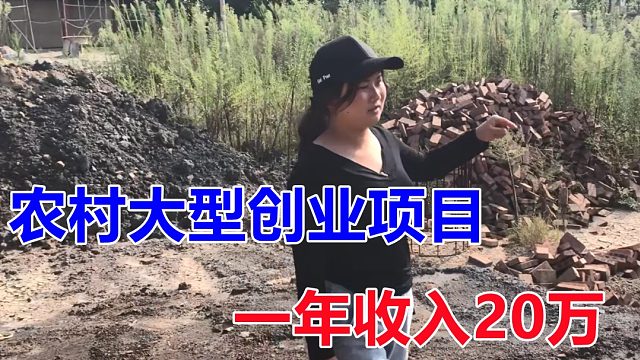 农村大型创业项目，价值高达400万，只要你肯干，一年收入20万！