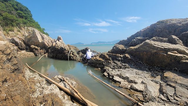 岛上荒废鱼塘全是陈年老青蟹，蟹钳比手臂还大，这盛况真是活久见