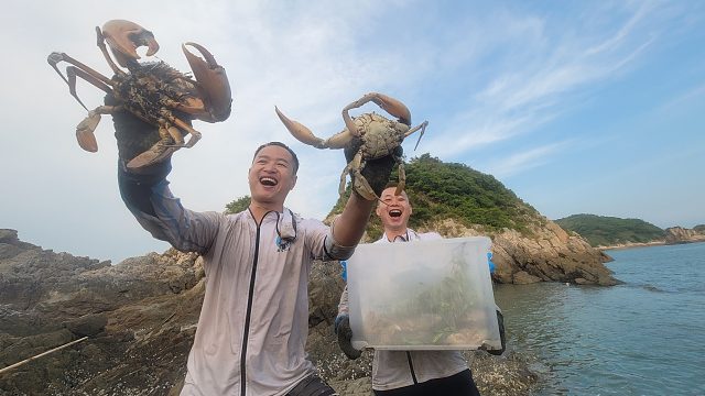 荒废老鱼塘到处都是成精老螃蟹，各个蟹钳比手臂还大，这次发财了