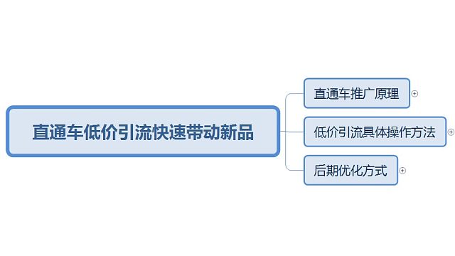 直通车低价引流快速带动新品直通车低价引流快速带动新品-片段1