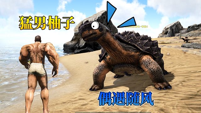 方舟生存进化1：高大猛男柚子降临方舟！遇见了长命百岁的随风？
