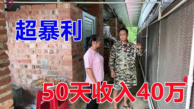 一只种苗180元，一年产50个崽，50天卖一批收入40万，超暴利！