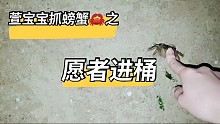 【萱宝宝】赶海之路，愿者上钩