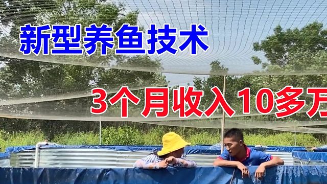 新型养鱼技术，不要场地只要一个桶，3个月卖一批，入账10多万！