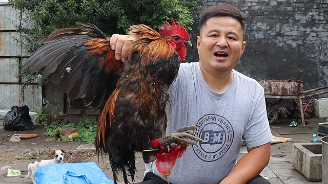 养了5年的大公鸡，1000元都买不到一只，大火炖了3个小时才咬得动