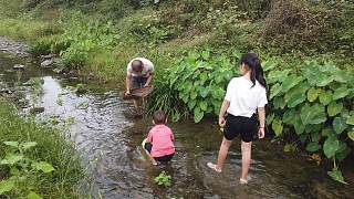 威哥带3个小朋友河里抓鱼，一撮箕下去就是河鱼河虾，这很农村