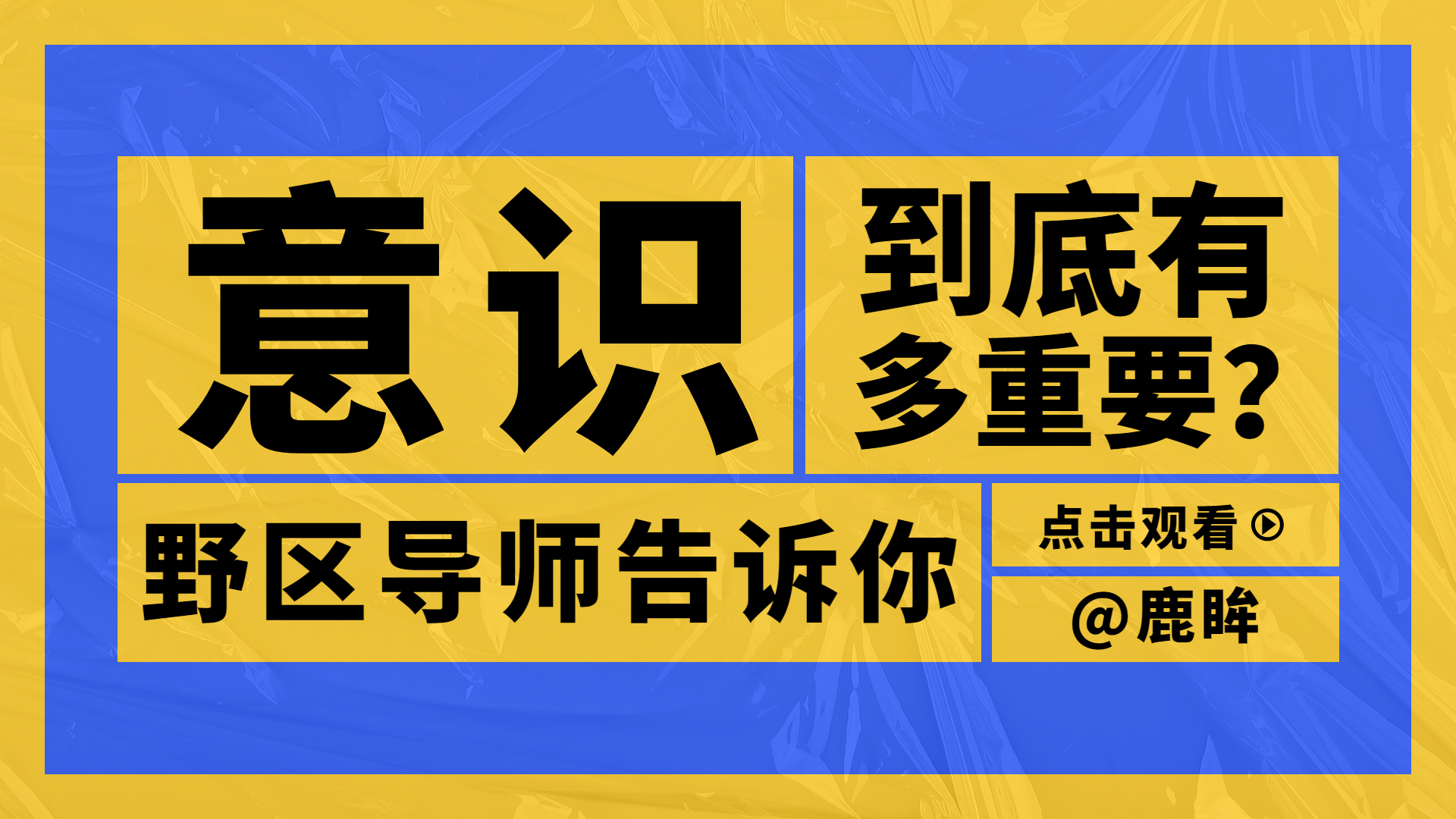 鹿眸精彩操作