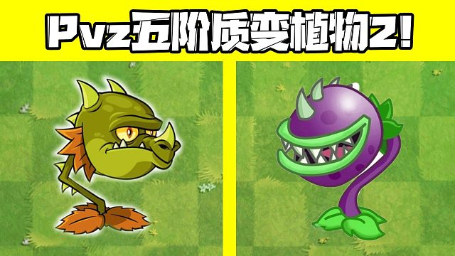 植物大战僵尸：Pvz五阶质变植物2！火龙草厉害起来连自己都打！