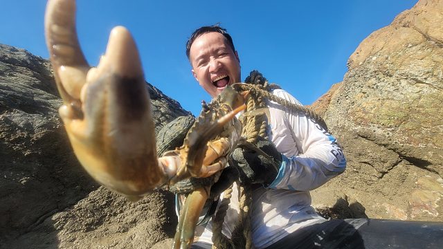 小明发现一堆被人丢弃的锚绳下有动静，扒开一看发财了，高兴坏了