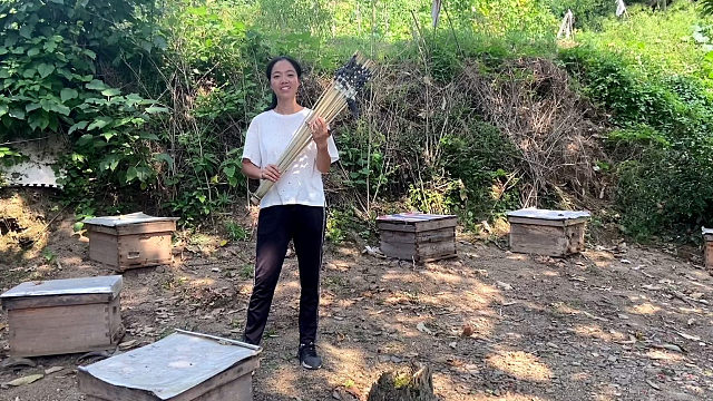 市价3元一只的马蜂也是害群之马，湖南姑娘自制工具一招制服