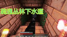 【焰樺】我的世界MC天域的傳說(shuō) P11 疏通叢林下水道