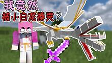 究竟是什么讓神器up被王者基多拉哭著喊爸爸？我的世界[全部魔改挑戰(zhàn)3]
