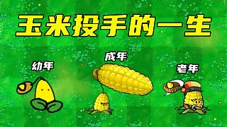 植物大战僵尸：玉米投手的一生，老年后成为最强战士！