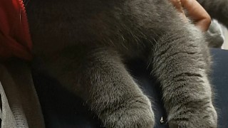 舒服了