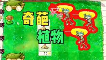 【白手】改版植物大战僵尸：奇葩的植物，坚果墙能当倭瓜用