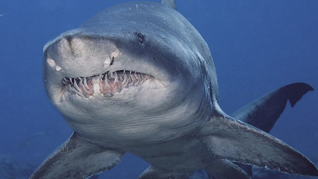 【水友精彩Showtime】（上）悔神神牛~怎么证明打过职业的？把对面打的说开图或是打急眼要Solo