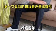 國慶節(jié)請(qǐng)大家欣賞下中老年的擼貓大法#鏟屎官的假期怎么過 #萌寵出道計(jì)劃