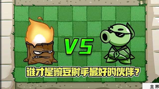 植物大战僵尸：火炬树桩VS教父豌豆，谁才是豌豆射手好的伙伴？