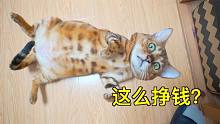 做自媒體沒多久，竟能年入百萬？?。ㄗx評論）