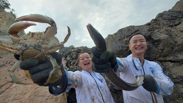 万亩蚝区简直就是各种值钱海货的天堂，两兄弟联手抓得忙不过来