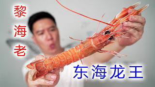 巨大“東海龍王”藜海老，頂級(jí)海螯蝦刺身，吃一只就飽了