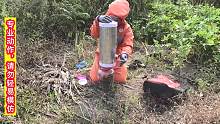 听说找蜂能月入过万，湖南大山俩农民顶着烈日挖虎头蜂，差点中暑