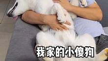 我發(fā)布了一個新視頻，快來圍觀吧！
