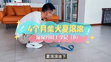 夏滾滾就算再倔犟，也犟不過軍犬訓(xùn)導(dǎo)員出身的唐校長