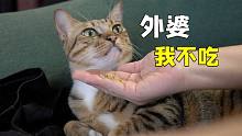 聽說貓咪都是尊老愛幼的！