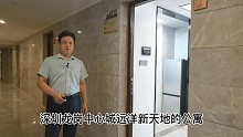 深圳龙岗远洋新天地两房出租房
