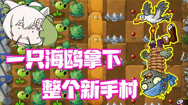 植物大战僵尸：小蛙拿下整个新手村？大嘴粉丝直接空城计！