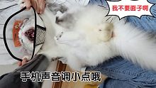 吹個毛毛一頓佛山無影腳伺候，兩個圓圓的家伙隨風飄揚