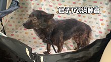 我屁股上有好大一個腫瘤，請你救救我！