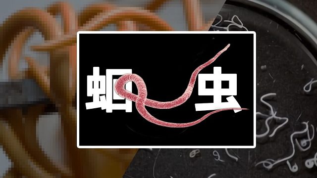 你的肚子里有多少蛔蟲(chóng)？寄生蟲(chóng)病有多可怕？