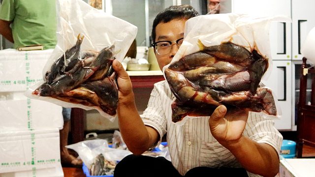 想不到溪石斑这么好卖，100斤一下抢光了，市场反馈真的出乎预料