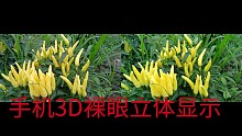 3D裸眼立体