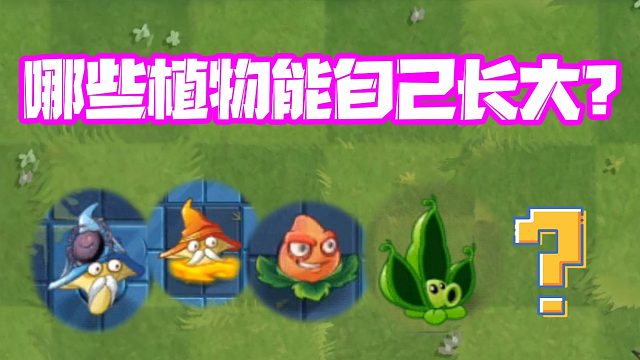 植物大战僵尸：会自动“长大”的植物？他时间最久要70多秒！