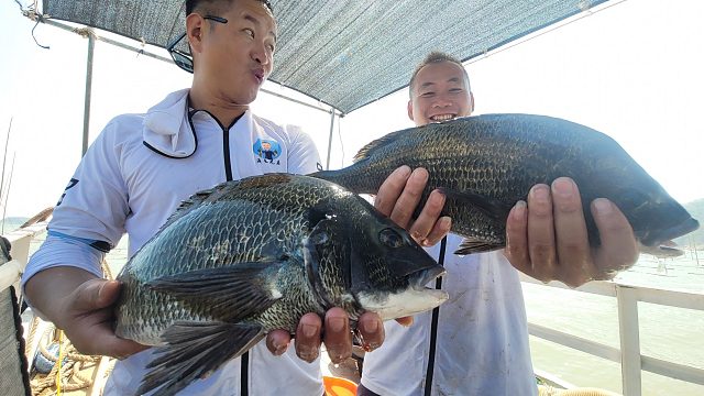 风浪太大小明躲小岛后面钓鱼，殊不知两兄弟连续中大鱼，太刺激了