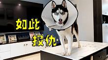 我發(fā)布了一個(gè)新視頻，快來圍觀吧！